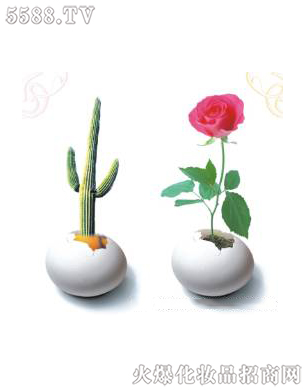 �Ϻ���������Ƽ����޹�˾����ǻ�ޏ�(f��)3��ɆT