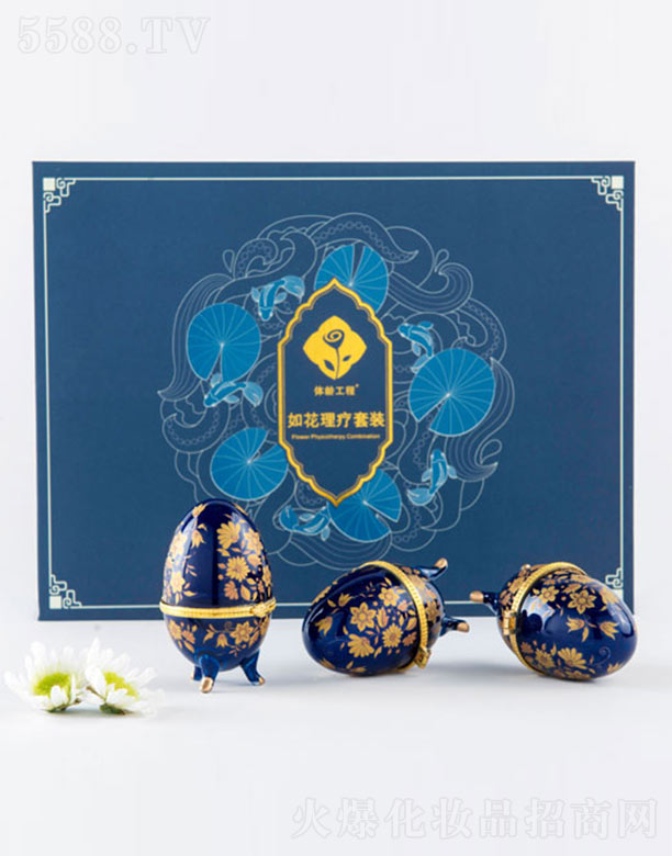 ������������Ƽ����޹�˾���w�g�����绨�������b