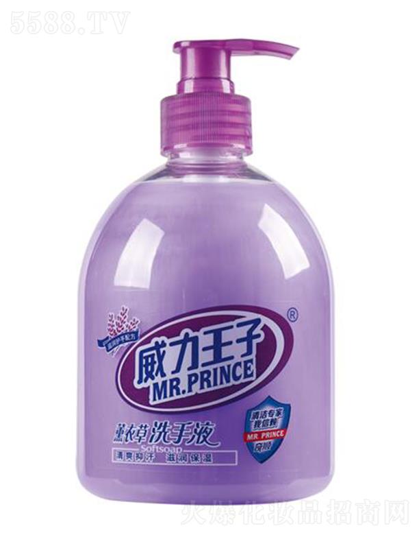 �V������ջ��Ƽ����޹�˾����������޹�²ݝ��wϴ��Һ 500��