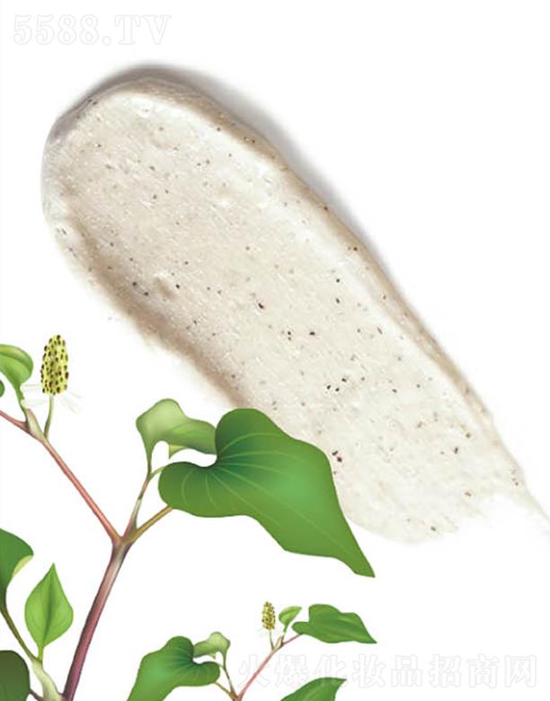 ����˹���Ϻ������yƷ���޹�˾��ANCORS�~(y��)�Ȳ�ë����ӝ�����