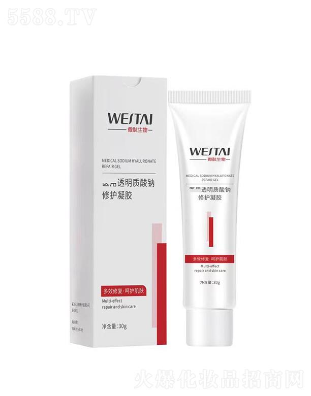 ΢���t(y��)��͸���|���c���o���z