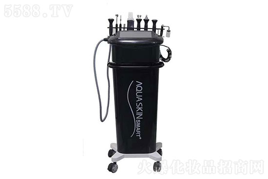 黑綜皮膚管理綜合儀 黑綜皮膚管理綜合儀