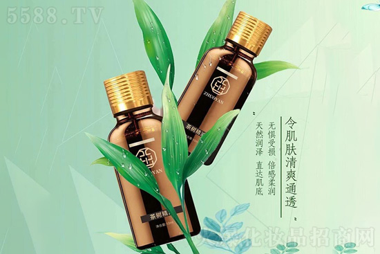 茁妍茶樹(shù)精油 茁妍茶樹(shù)精油