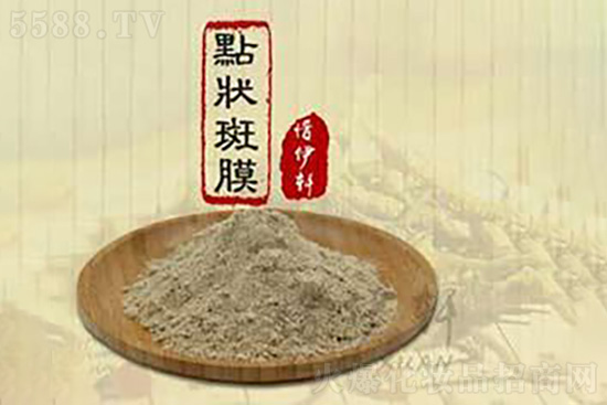 惜伊軒點(diǎn)狀斑膜 惜伊軒點(diǎn)狀斑膜