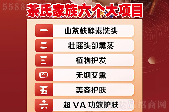 茶氏家族六大項(xiàng)目 茶氏家族六大項(xiàng)目