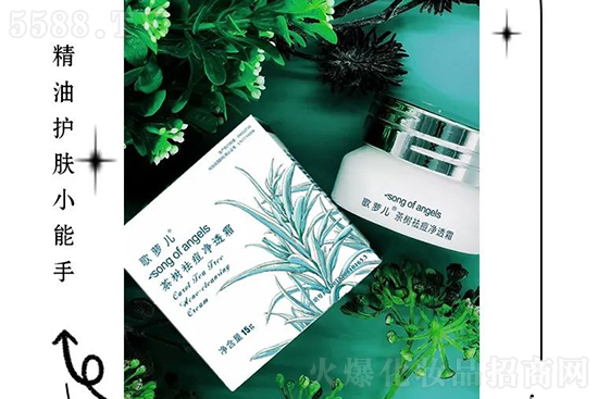 ���}��������͸˪